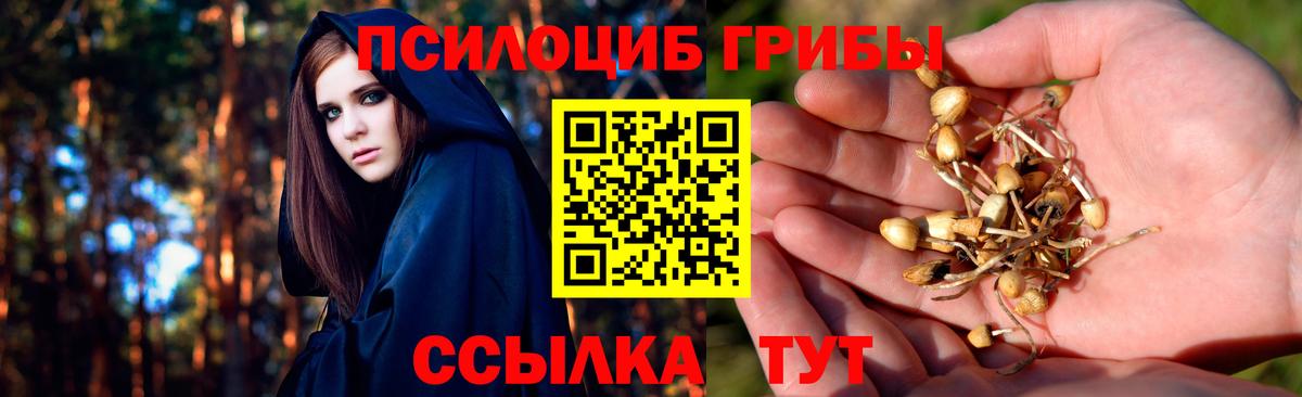 Галлюциногенные грибы Magic Shrooms  Вход с VPN  Донецк 